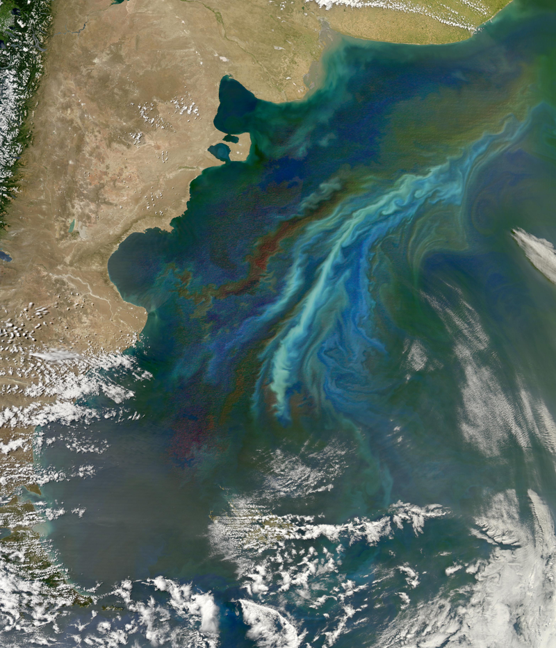 Illustration for article titled Tiny Ocean Microbes are Brightening Up the Sky
